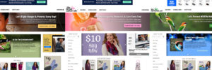 ClickToGive Website Framework on Desktop