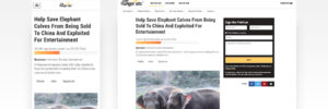Petition experience for GreaterGood cause sites on both mobile and desktop.